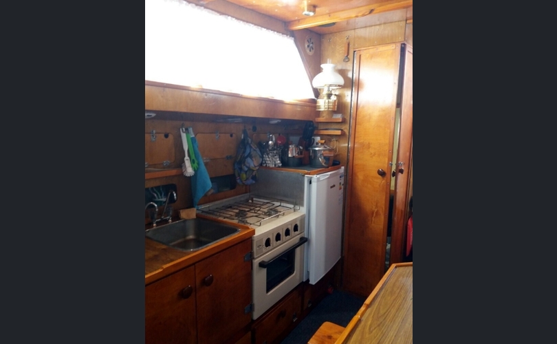 Coronet Muu malli-kuva-11